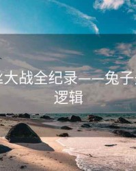 多维粉丝大战全纪录——兔子先生热度逻辑