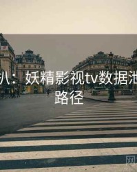 独家深扒：妖精影视tv数据泄露传播路径