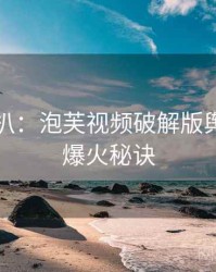 独家深扒：泡芙视频破解版舆论漩涡爆火秘诀
