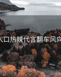 P站入口热辣代言翻车风向研判