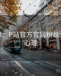 独家深扒：P站官方官网粉丝大战公众心理