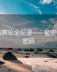 焦点网络舆论全纪录——星空传媒流量密码