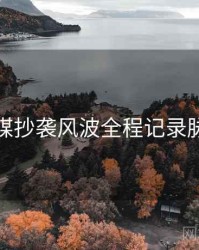 星空传媒抄袭风波全程记录脉络揭秘