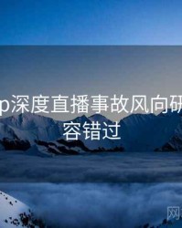 麻豆app深度直播事故风向研判，不容错过