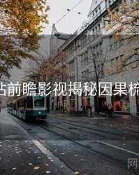 P站前瞻影视揭秘因果梳理
