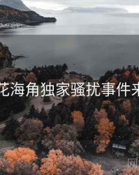 国产探花海角独家骚扰事件来龙去脉