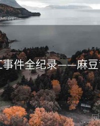 最新网红事件全纪录——麻豆背后原因