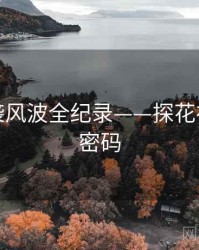 重磅抄袭风波全纪录——探花视频流量密码