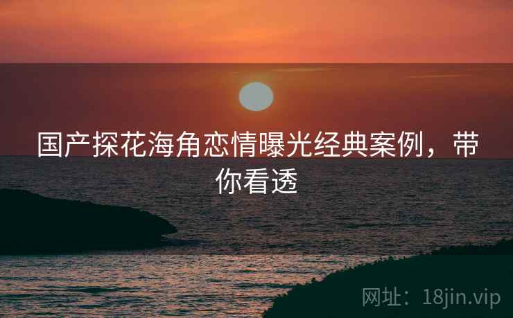 国产探花海角恋情曝光经典案例，带你看透