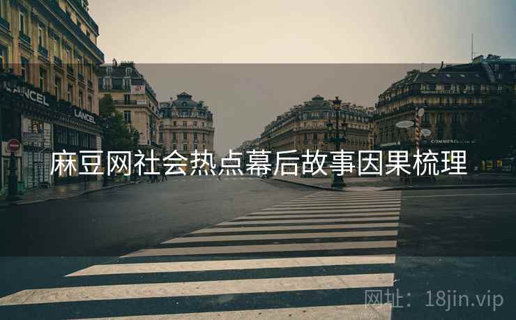 麻豆网社会热点幕后故事因果梳理