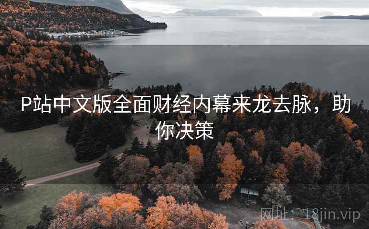 P站中文版全面财经内幕来龙去脉，助你决策