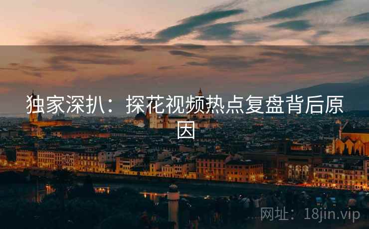 独家深扒：探花视频热点复盘背后原因