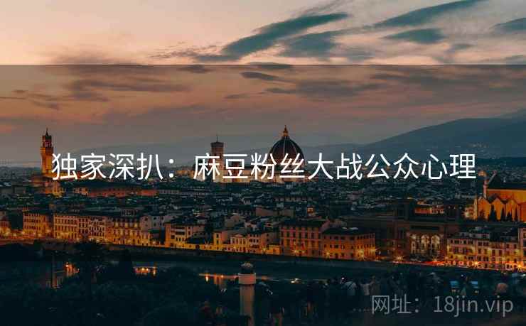独家深扒：麻豆粉丝大战公众心理