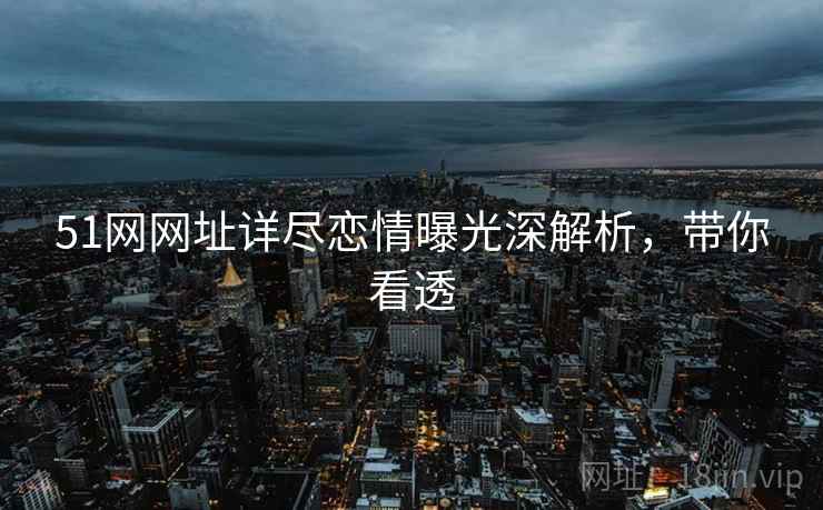51网网址详尽恋情曝光深解析，带你看透
