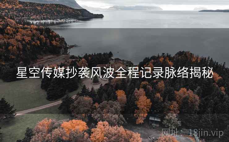 星空传媒抄袭风波全程记录脉络揭秘