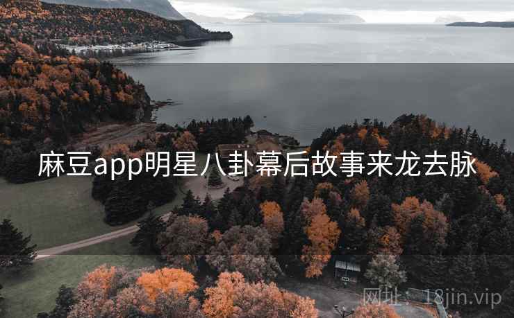 麻豆app明星八卦幕后故事来龙去脉