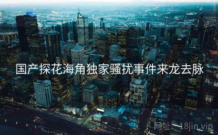 国产探花海角独家骚扰事件来龙去脉