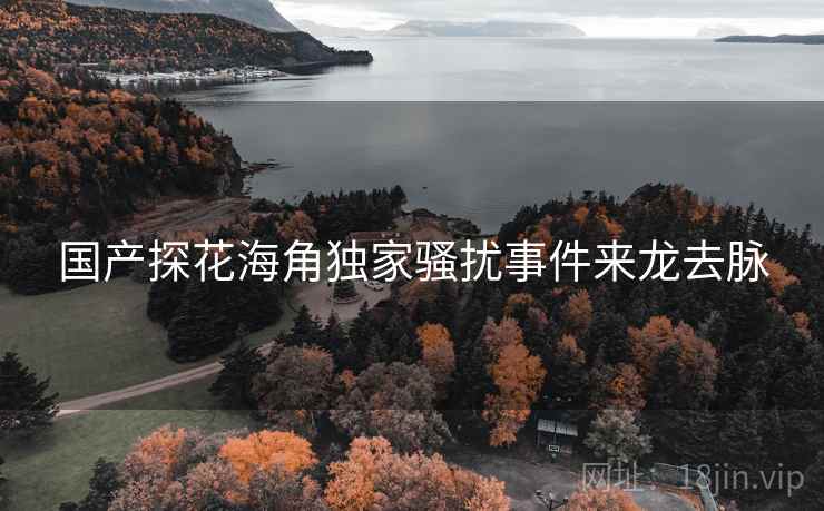 国产探花海角独家骚扰事件来龙去脉