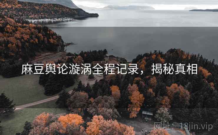 麻豆舆论漩涡全程记录，揭秘真相