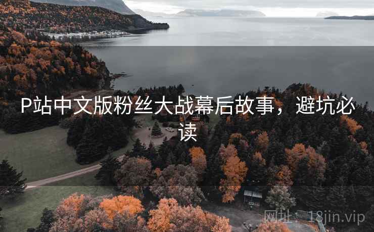 P站中文版粉丝大战幕后故事，避坑必读