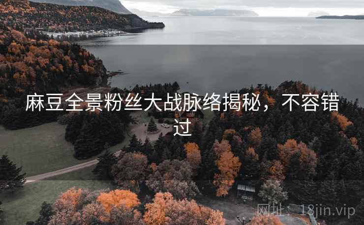 麻豆全景粉丝大战脉络揭秘，不容错过