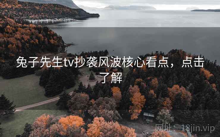 兔子先生tv抄袭风波核心看点，点击了解