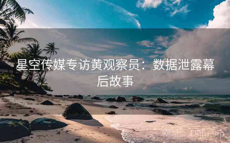 星空传媒专访黄观察员：数据泄露幕后故事