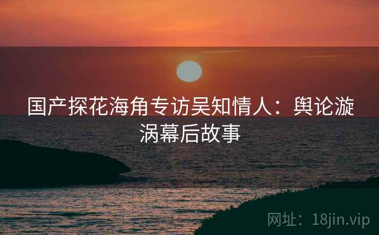 国产探花海角专访吴知情人：舆论漩涡幕后故事