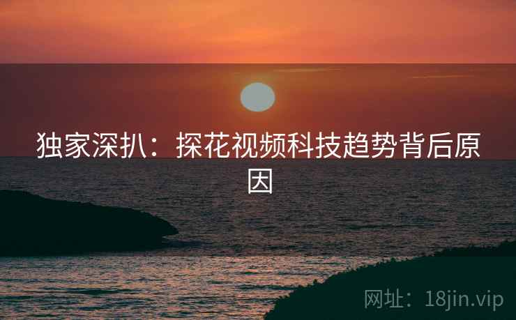 独家深扒：探花视频科技趋势背后原因