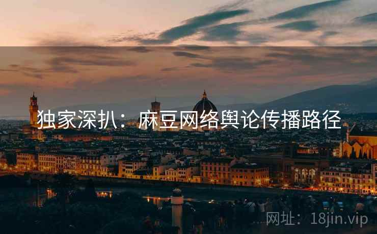 独家深扒：麻豆网络舆论传播路径