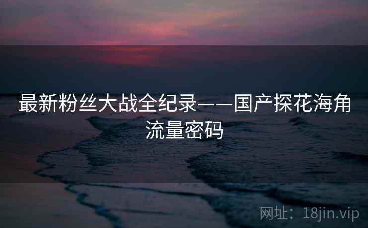 最新粉丝大战全纪录——国产探花海角流量密码