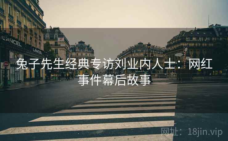 兔子先生经典专访刘业内人士：网红事件幕后故事